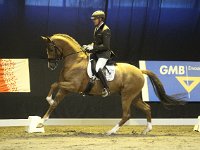 Chagall D-R 201113_1419